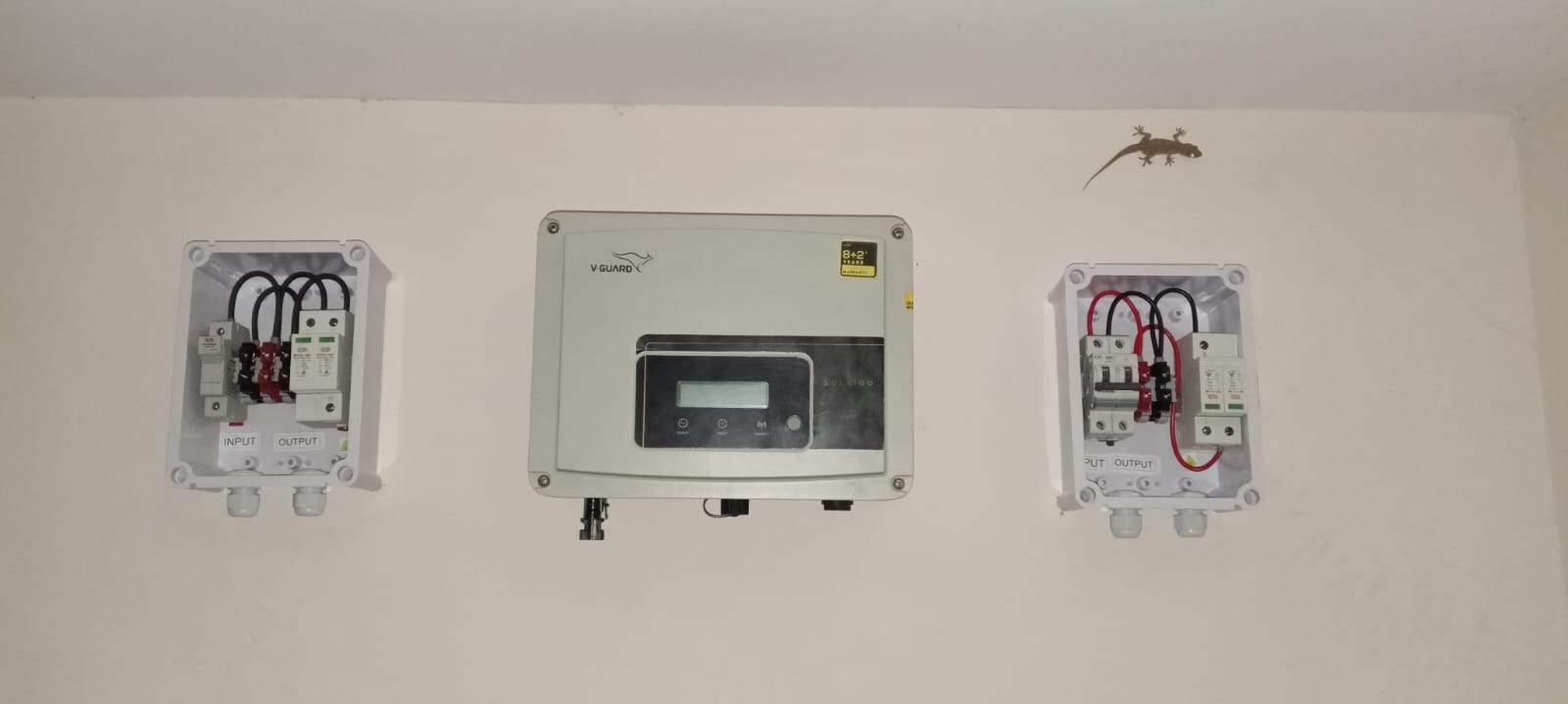 V-Guard