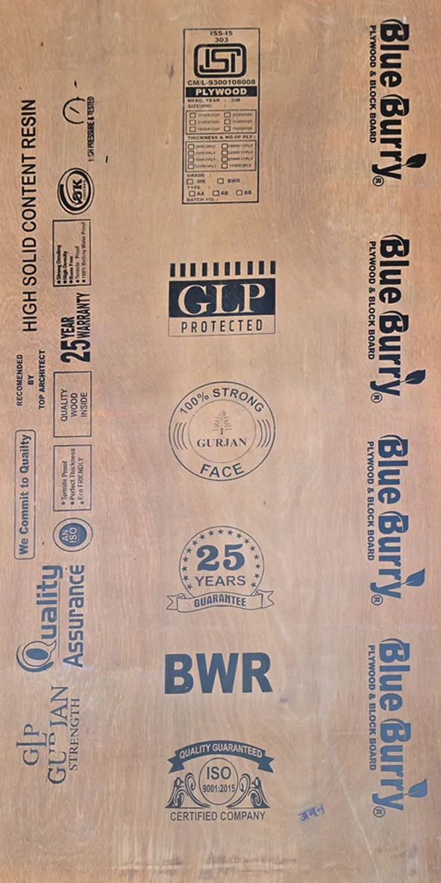 Ply Planet Gallery