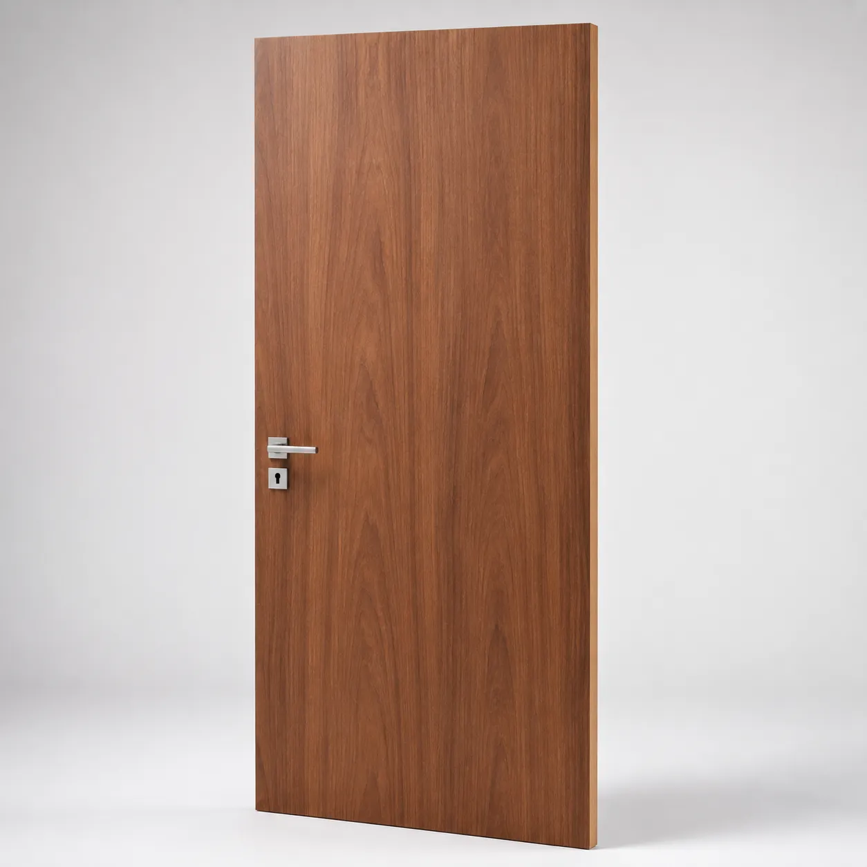 Flush Door