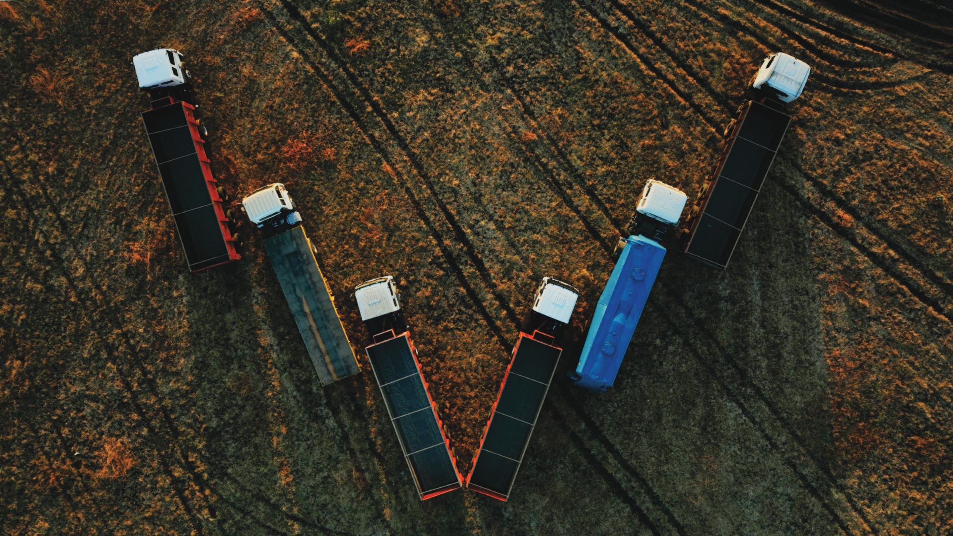 Work Image 3