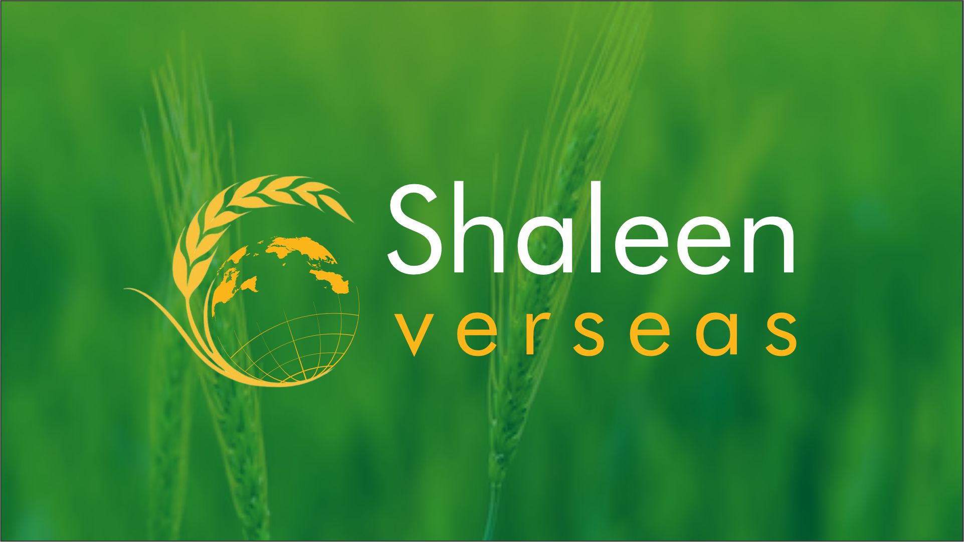 Shaleen Verseas-image